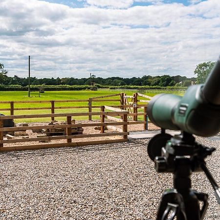 Brecks Farm - Cow Kennels Villa York Bagian luar foto